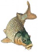altele 